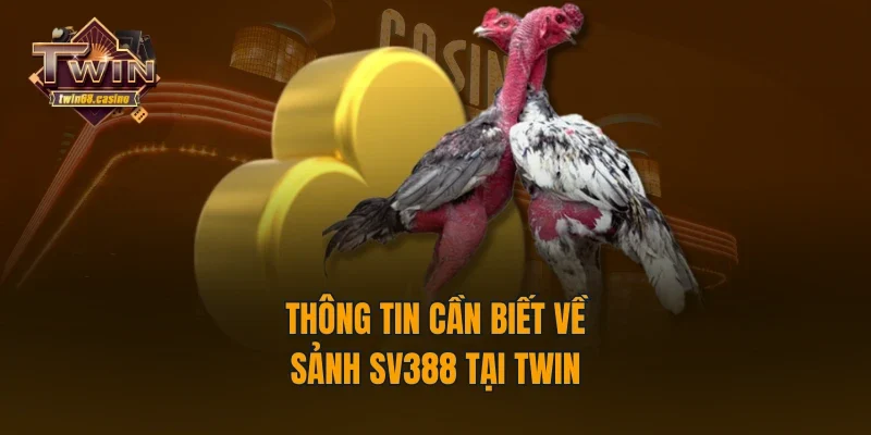 Thông tin cần biết về sảnh SV388 tại TWIN